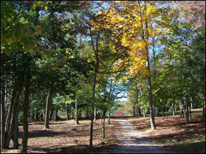 Union County Dog Park